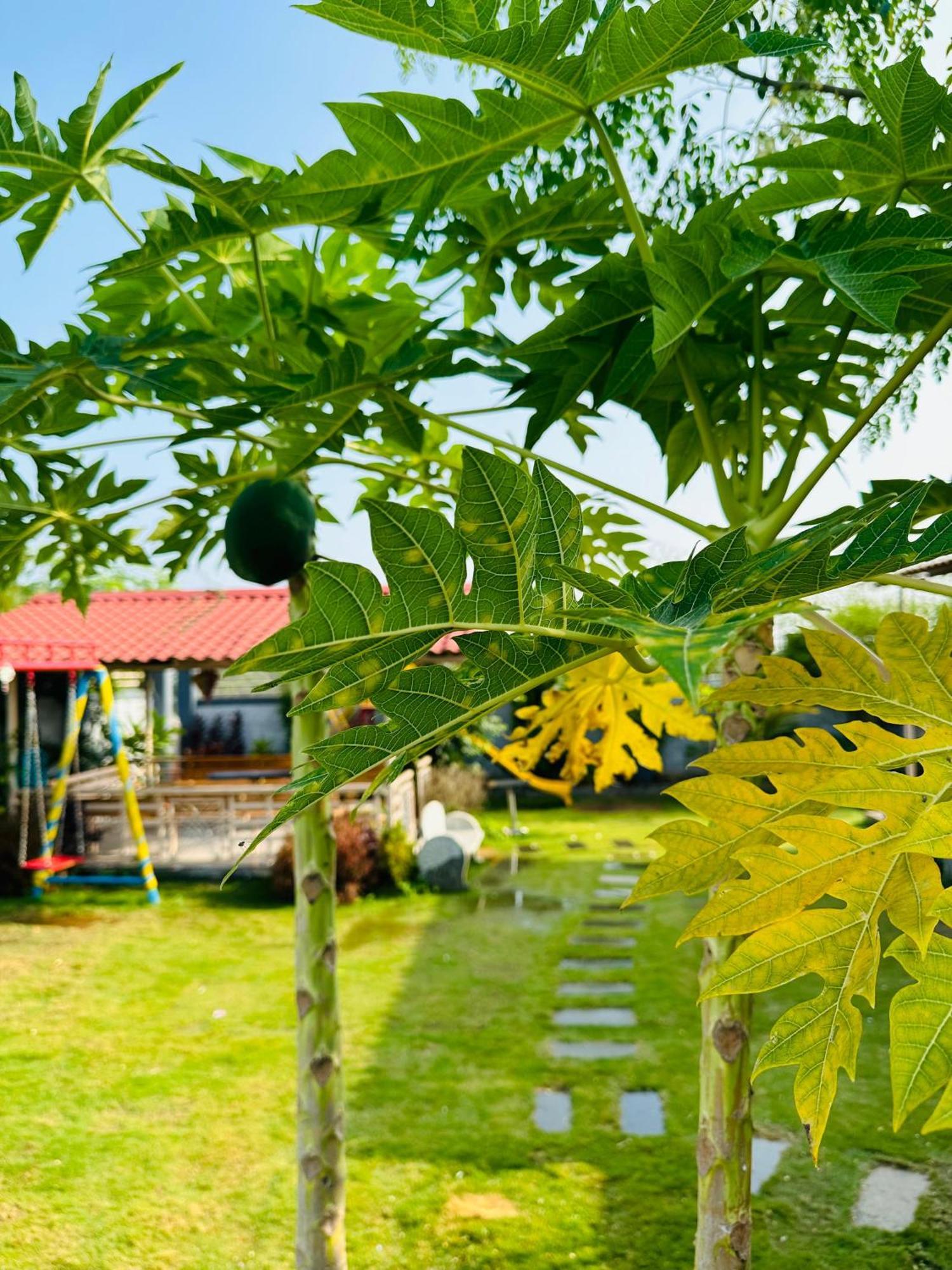 Pk Sahara Farm Stay Mysore Exteriör bild